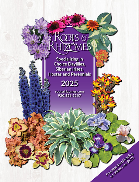 Browse our 2025 Catalog