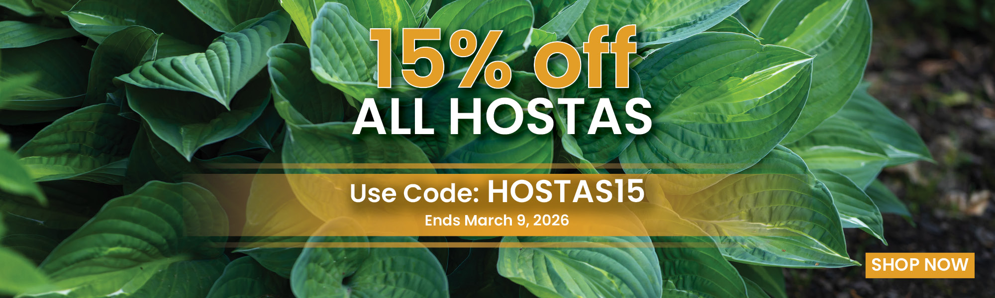 15% Off All Hostas with HOSTAS15