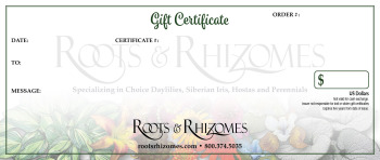 Gift Certificate