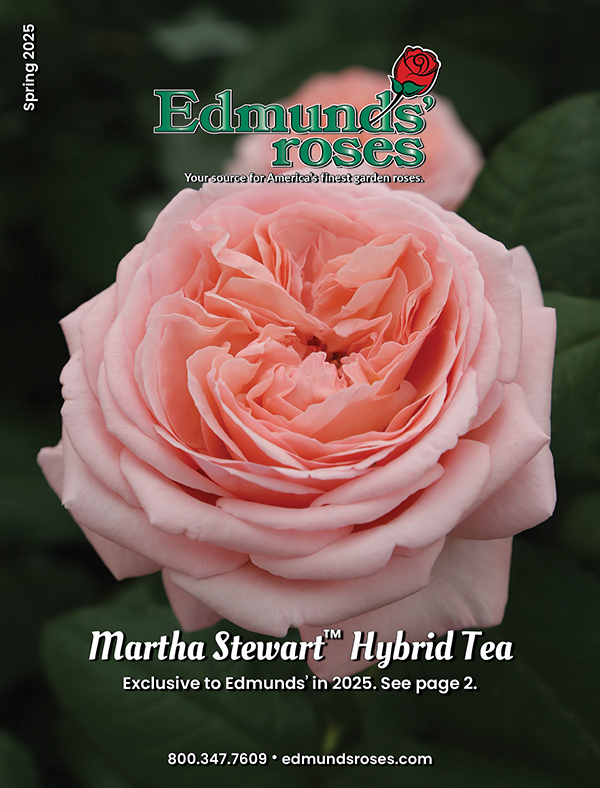 Spring 2026 Edmunds' Roses Catalog, Roots & Rhizomes