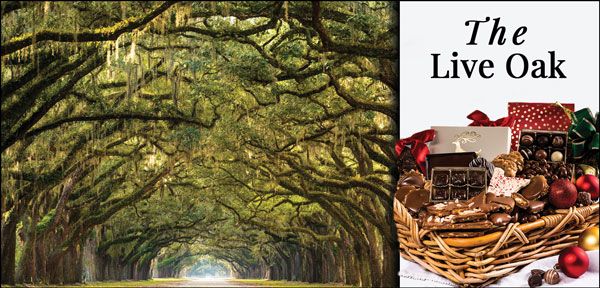 The Live Oak The Live Oak