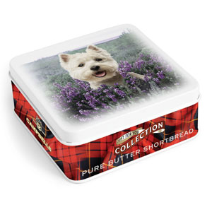 Westie in Heather Square Shortbread Tin from Campbells
