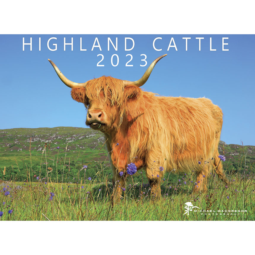 Highland Cow 2023 Calendar