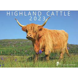 SOLD OUT Highland Cow 2023 Calendar