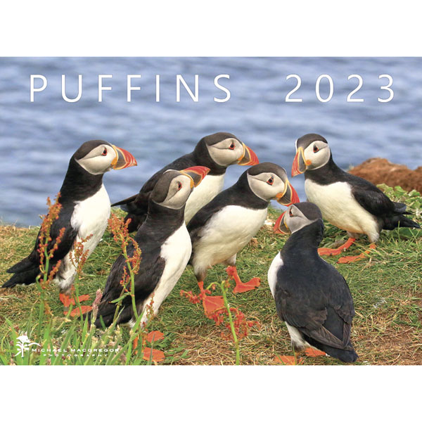 Puffin 2023 Calendar