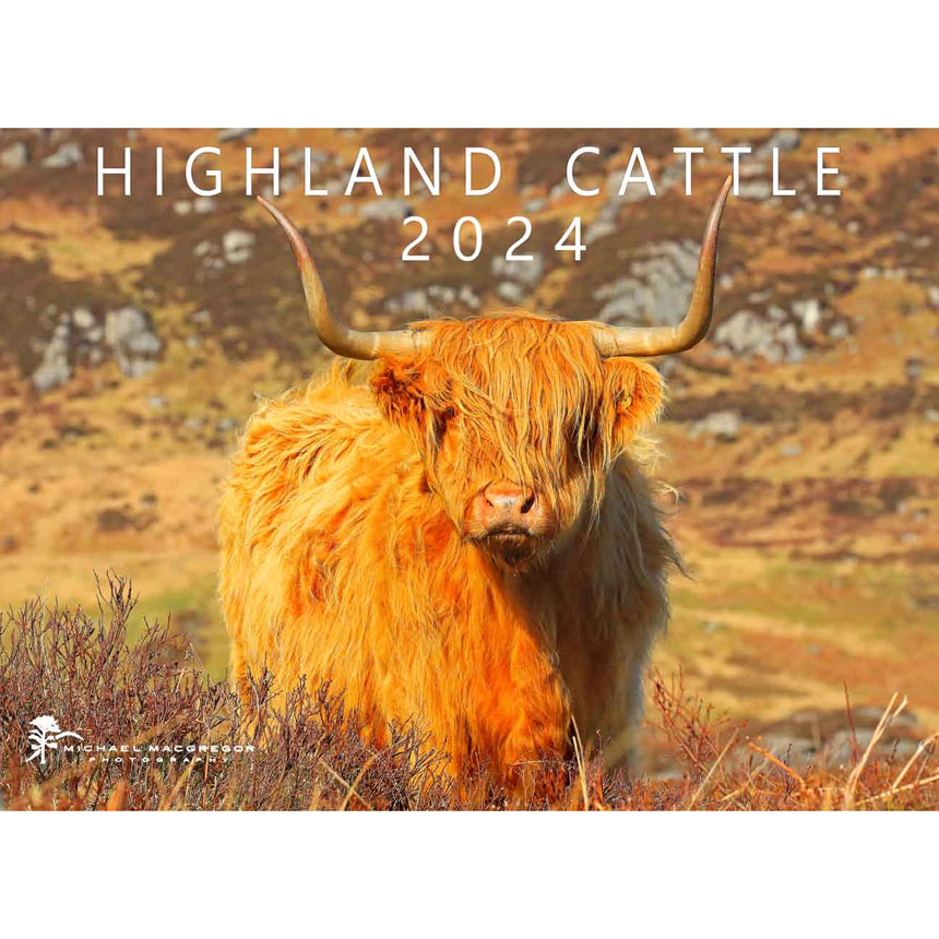 SOLD OUT Highland Cow 2024 Calendar