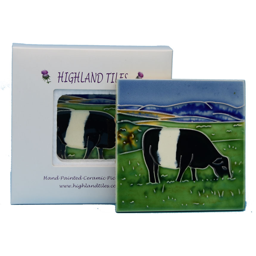 Belted Galloway Cow 4 inch square tile