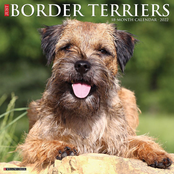 SALE Just Border Terriers 2022 Calendar