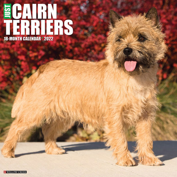 SALE Just Cairn Terriers 2022 Calendar