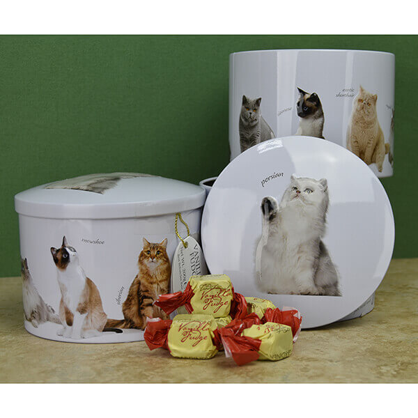 SALE Classic Cats round tin filled with vanilla fudge - 7 oz