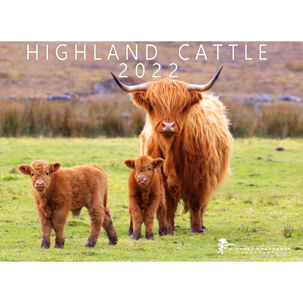 SOLD OUT Highland Cow 2022 Calendar