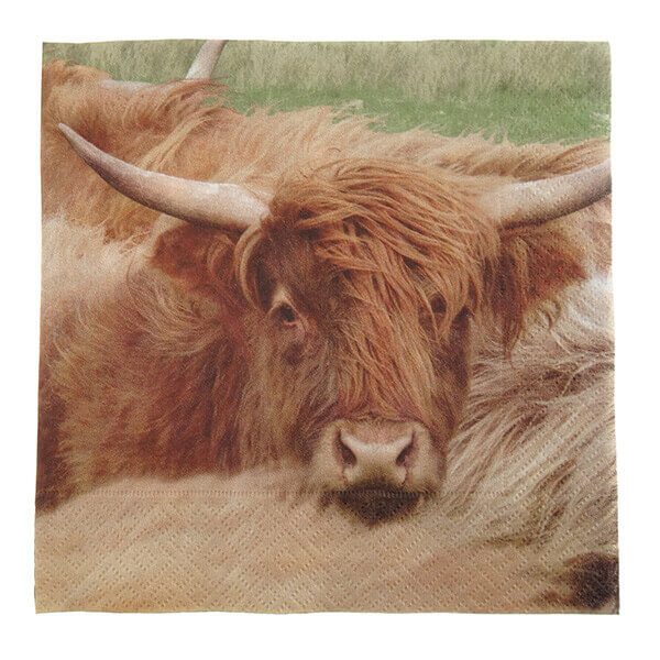 Highland Cow Photo Napkins - pack of 20