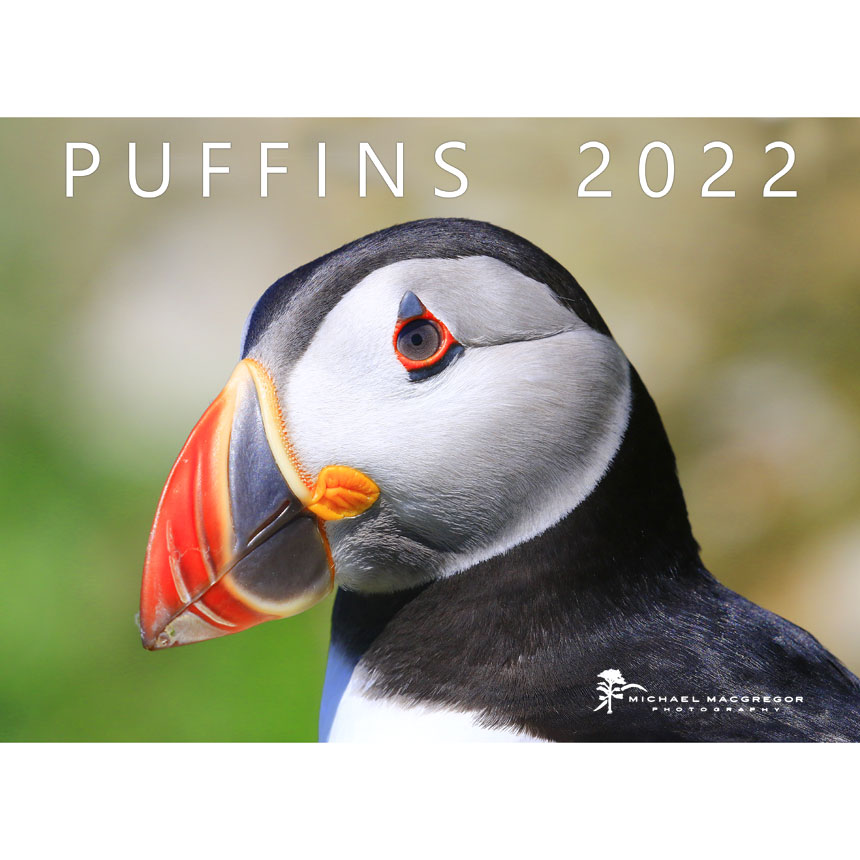 SOLD OUT Puffin 2022 Calendar