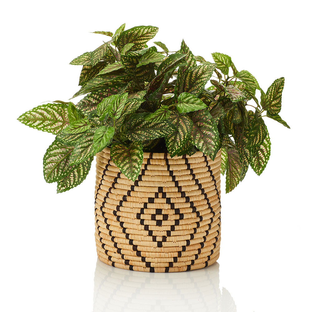 Matope Plant Basket