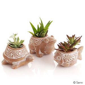 Pond Critter Planters