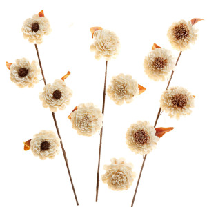 Product Image of Tall Sola Dahlia Stems