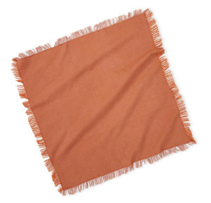 Product Image of Terracotta Woven Napkins - Set of 2