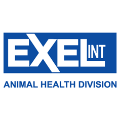 Exel International