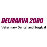 Delmarva 2000 Logo