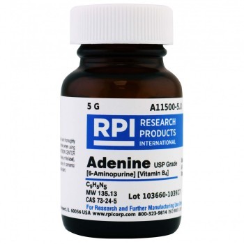 Adenine [6-Aminopurine] [Vitamin B4] USP,5 G