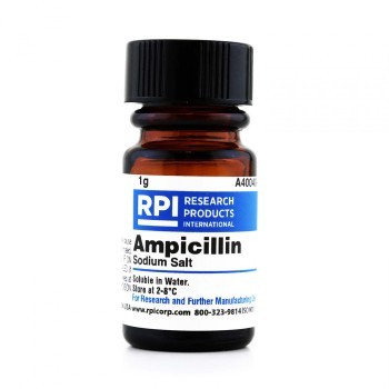 Ampicillin,Sodium Salt,1 G