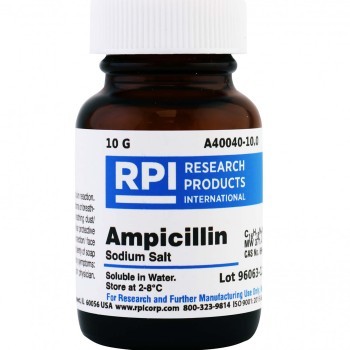Ampicillin,Sodium Salt,10 G
