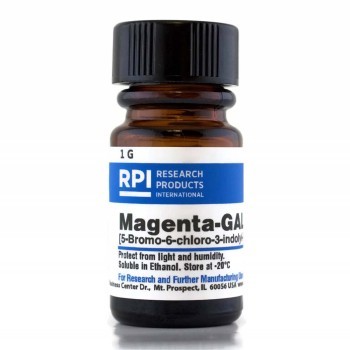 Magenta-Gal,1 G