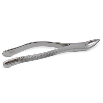 DENTAL,FORCEPS,EXTRACTING,#62