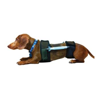 MB Spinal Brace Support Harness