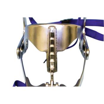 Meister equine mouth gag & light, modified