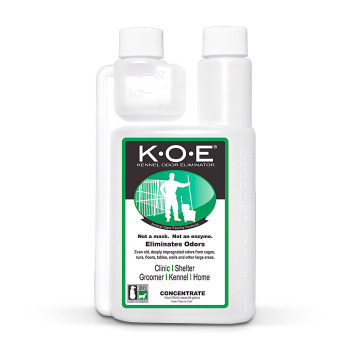 KOE CONCENTRATE 16OZ