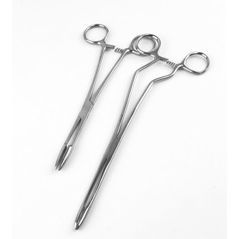 Bozeman uterine dressing forceps, 10 1/4'',straight, serrated jaws, ring  handle | Ambler Surgical