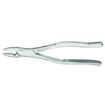 Miltex Vantage Extracting Forceps - Size 1Std - Serrated Tips | Med-Vet ...