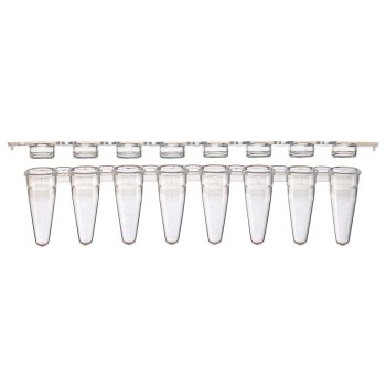 PCR 8-STRIP TUBES,0.1ML,LOW PROFILE,PP,NATURAL,WITH SEPARATE 8-STRIP FLAT CAPS,125/BX