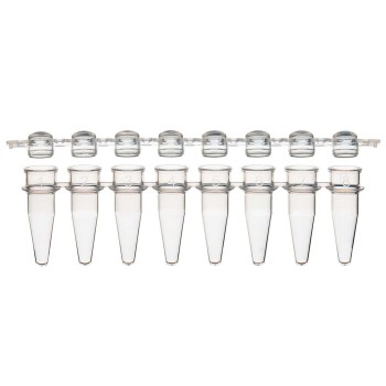 0.2ML 12-STRIP TUBES,WITH SEPARATE,12-STRIP CLEAR DOME CAPS,NATURAL,80/BX