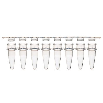 0.2ML 12-STRIP TUBES,WITH SEPARATE,12-STRIP CLEAR FLAT CAPS,NATURAL,80/BX