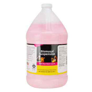 BISMUTH SUBSALICYLATE,1 GAL