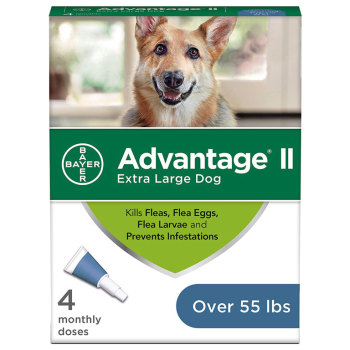 PHV ADVANTAGE II,DOGS OVER 55LB,4/BX,6 BOXES