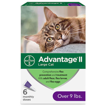 PHV ADVANTAGE II, CATS OVER 9 LBS, 6 CARDS