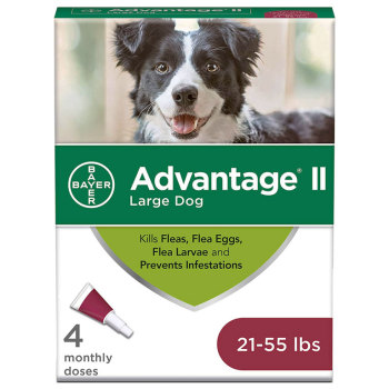 PHV ADVANTAGE II,DOGS 21-55LB,4 CARDS