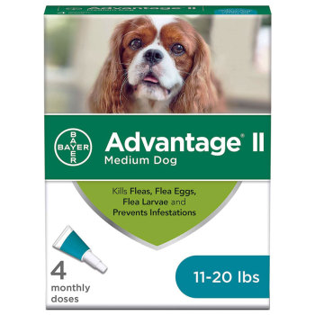 PHV ADVANTAGE II,DOGS 11-20LB,4/BX,6 BOXES
