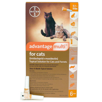 RXV ADVANTAGE MULTI 5.1-9lbs SMALL CAT ORANGE 6 MTH