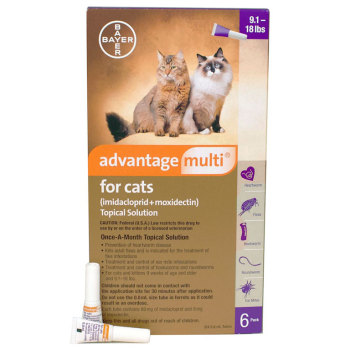 RXV ADVANTAGE MULTI CATS,9-18,PURPLE 6PK
