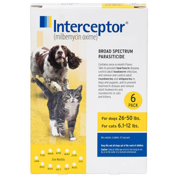 RXV INTERCEPTOR FOR CATS,YELLOW,6-12LB,6 PACK