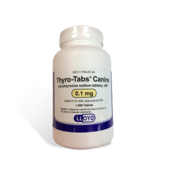 RXV THYRO-TABS (LEVOTHYROXINE) 0.1MG,1000 TABLETS