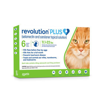 RXV ZOETIS REVOLUTION PLUS FOR CATS 11.1-22LB,GREEN LABEL,(6 DOSE)