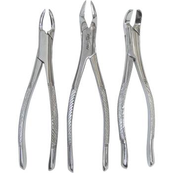 FORCEPS,SMALL,EXTRACTING,EQUINE,7IN,3/PK