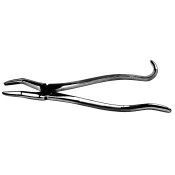 Forcep, wolftooth extractor, 11.5"L