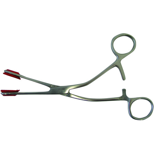 FORCEPS,YOUNG,TONGUE,SS,6.75IN,EACH