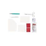 TRAY,INCISION&DRAINAGE,STERILE,20 EA/CS